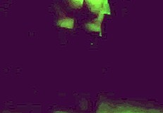 Small and vicious: Groping and exhibitionism