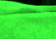 Black amateur hooker has sex in a hotel room ending up receiving a cumshot