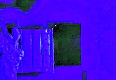 Private home video of a wife’s twat being licked