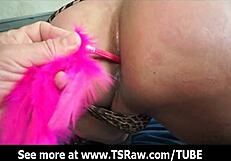 This curvy Latina shemale wearing handcuffs takes a bareback blowjob