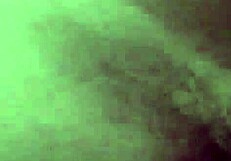 Vigorous anal sex results in the female prostate expulsion and expulsion of prostatic fluid