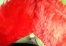 First Black sex interracial blowjob and anal