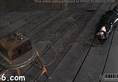FOOG: Erotic Teen Bdsm blowjob and doggy style porn with a hotty in a neck collar