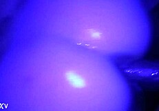 Customs on offer: A Monster Cock Wet and Wild