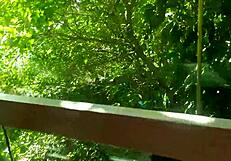 A gangbang with fans in the lighthouse’s maze – Real swinger couple sex in hot xxx video with MILF and doggy position