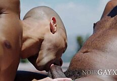 Two mature men look at the possibility of cheating and anal sex