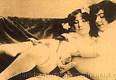 A true story of a Victorian man narrating his sexual adventure with a woman who is an enigma to him