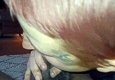 A homemade video of a big dick blowjob with a hairy bbw on a couch