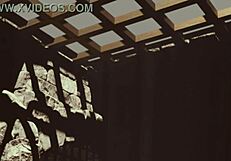 3D animated porn with a hot girl and multiple partners