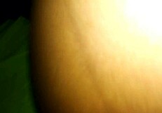 Straightforward oral sex with my girlfriend Maresa