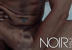 An amateur gay blowjob scene with an Anal BBC twist