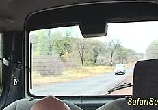 African safari trip turns into a wild sex party