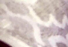 Black beauty gets drilled on the bed