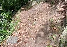 My shy half-sister and I find firewood and fuck hard