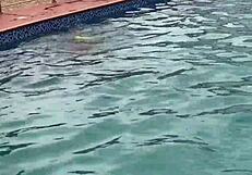 Pool fun leads to oily sex and a big cumshot