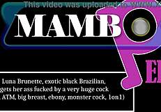 How does exotic Brazilian Luna take a huge cock in her tight ass?