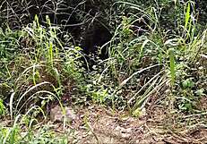 What started as a forest hike turned into total public orgy with Brazilian pornstars.