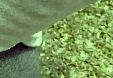 Hey, stop hiking already... just cum inside me right here in this public park! It's wild!