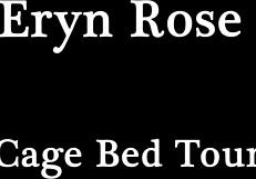what's hiding in this kinky bdsm bed and cage setup?